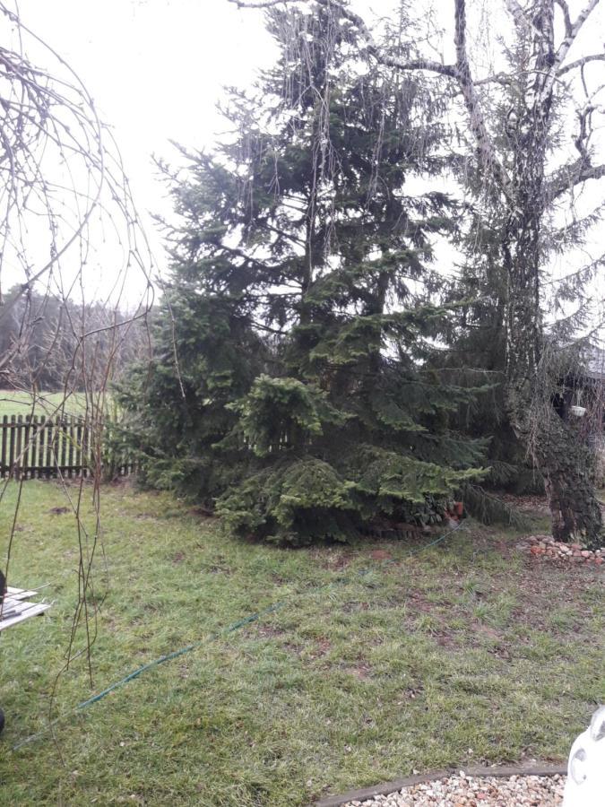 Farma Aktywnego Wypoczynku Dagaspa Repki Eksteriør bilde